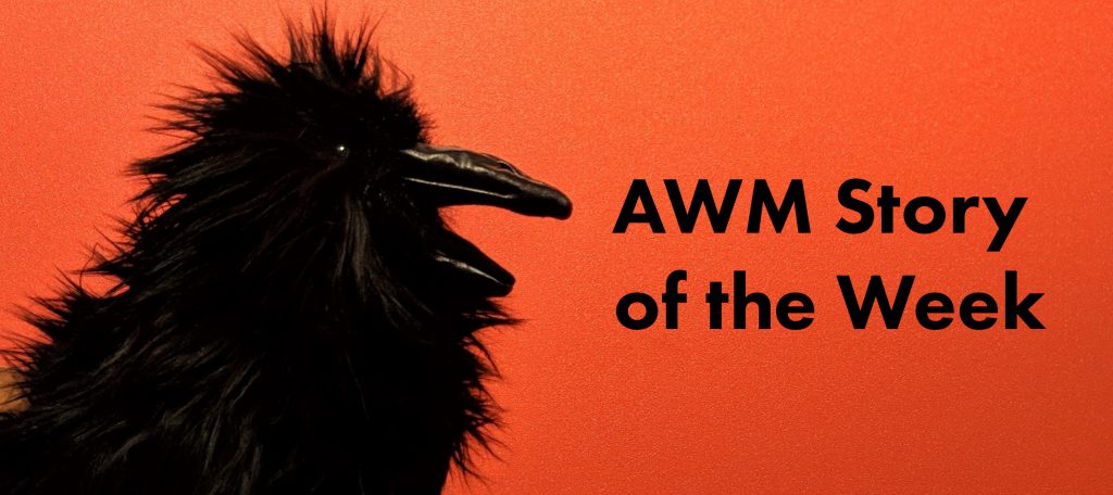A raven toy on a red background next to the words AWM Story of the Week