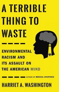A Terrible Thing to Waste by Harriet A. Washington