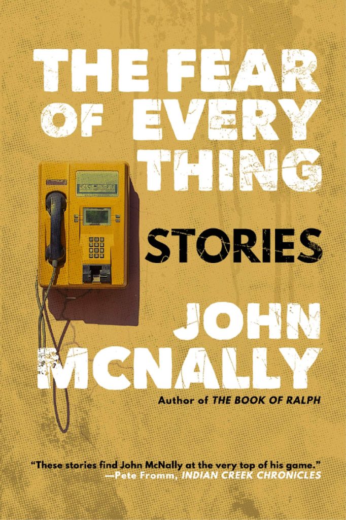 The Fear of Everything by John McNally book cover