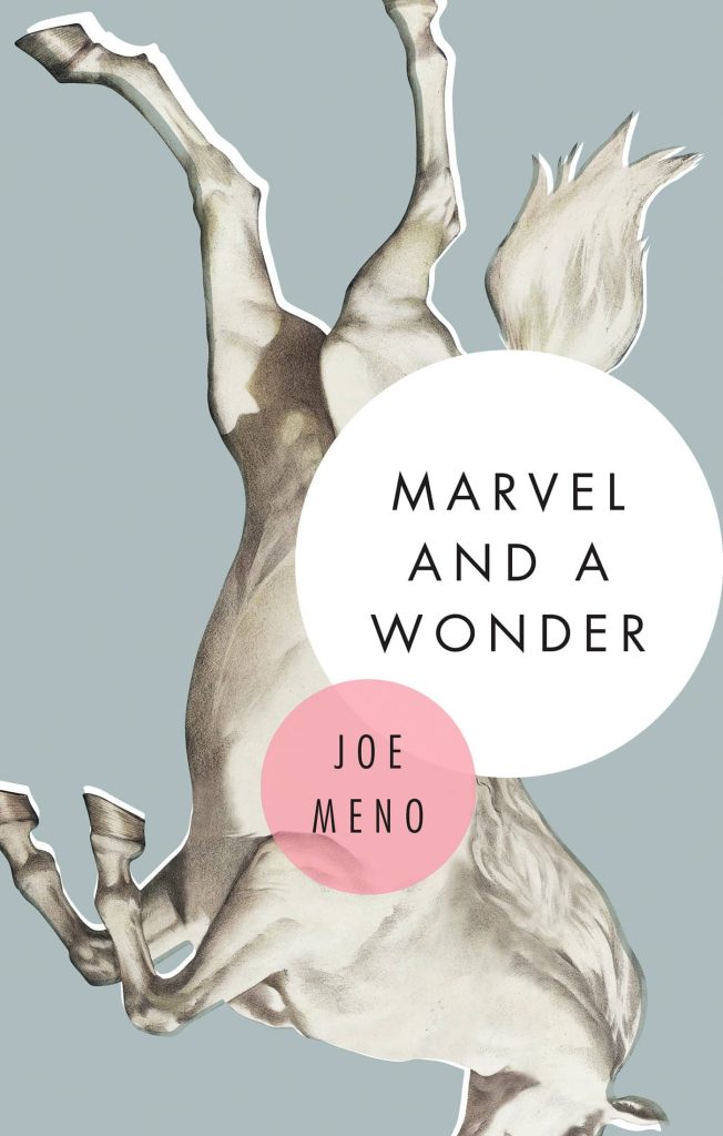 Marvel and a Wonder book cover