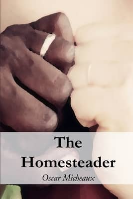 The Homesteader by Oscar Micheaux (1919) book cover